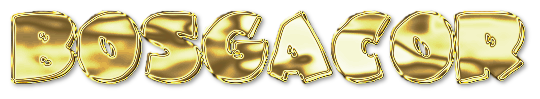 BOSGACOR Logo